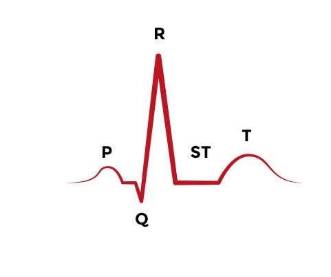 ACLS-Figure-21